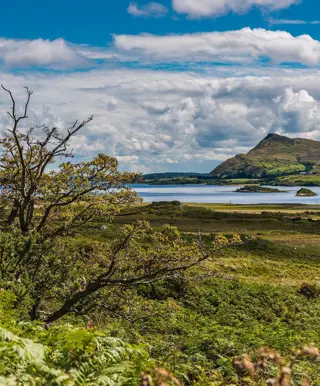 Connemara